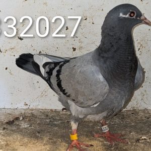 332027