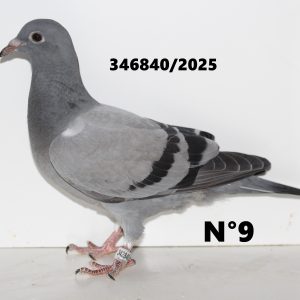 342840
