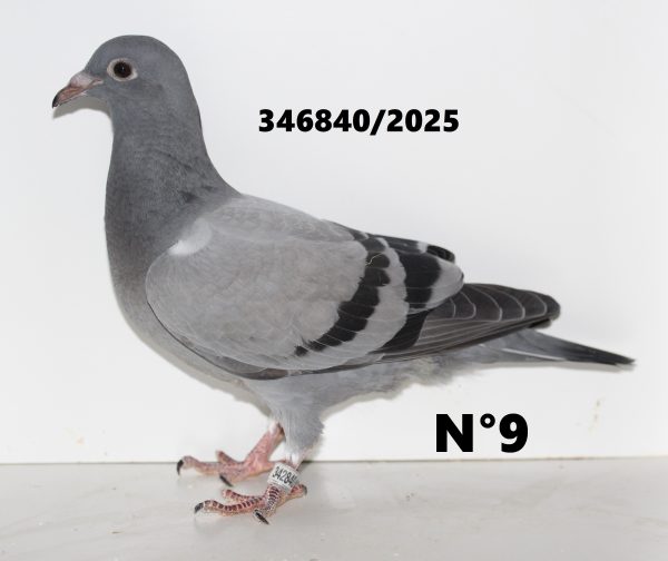 342840