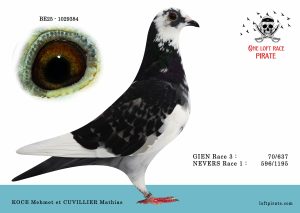 N° 45 : BE-2025-1029384 F  – KOCE Mahmet et CUVILLIER Mathias