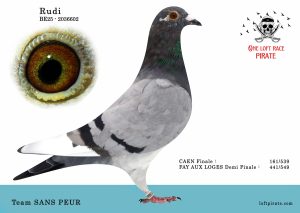 N° 48 : BE-2025-2036602 F  – Team SANS PEUR