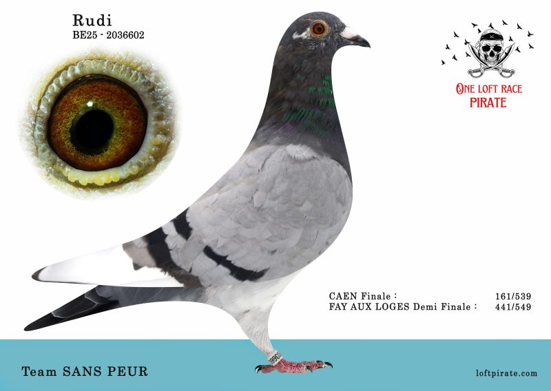N° 48 : BE-2025-2036602 F  – Team SANS PEUR