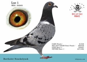 N° 49 : BE-2025-3040401 F  – Bertholet Nonckelynck