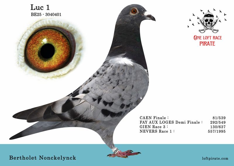 N° 49 : BE-2025-3040401 F  – Bertholet Nonckelynck