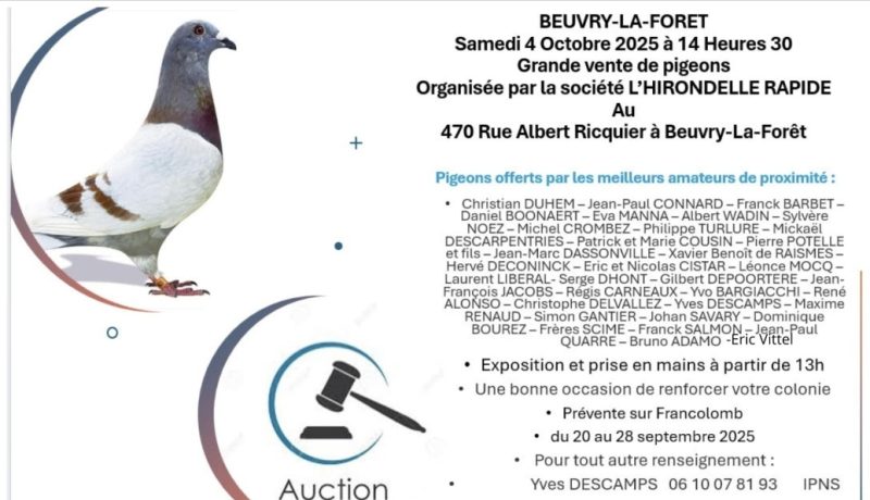 Pré-Vente : Hirondelle Rapide de BEUVRY LA FORET