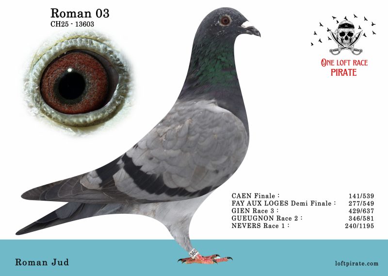 N° 04 : CH-2025-13603 F – Roman Jud
