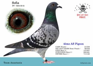 N° 55 : DV-0254-25-21 F  – Team Anastasia