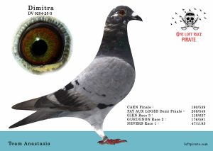 N° 56 : DV-0254-25-3 F  – Team Anastasia