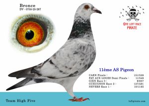 N° 60 : DV-0755-25-267 F  – Team High Five