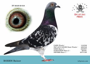 N° 61 : DV-09105-25-319 M  – HOEN Rainer