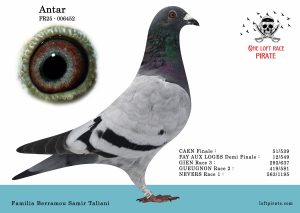 N° 02 : FR-2025-006452 M – Familia Berramou Samit Taliani