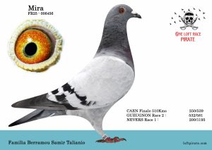 N° 03 : FR-2025-006456 F – Familia Berramou Samit Taliani
