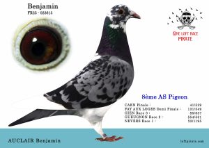 N° 06 : FR-2025-023613 M – AUCLAIR Benjamin