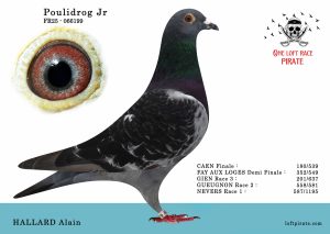 N° 07 : FR-2025-066199 M – HALLARD Alain