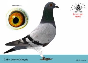 N° 08 : FR-2025-068813 F – CAP – Lefebvre Margris