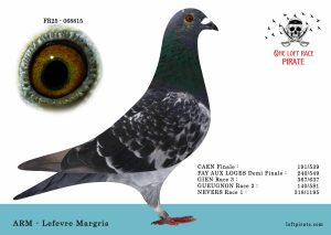 N° 09 : FR-2025-068815 M – ARM – Lefebvre Margris