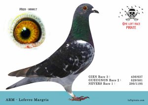 N° 10 : FR-2025-068817 F – ARM – Lefebvre Margris