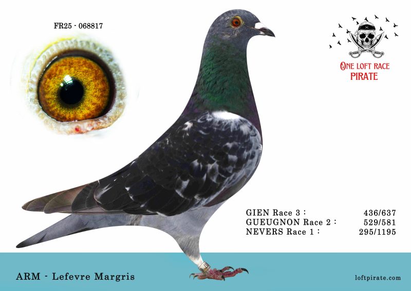 N° 10 : FR-2025-068817 F – ARM – Lefebvre Margris