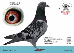 N° 13 : FR-2025-85887 M – Team Lorraine