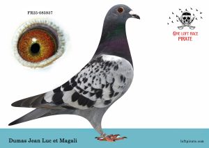 N° 14 : FR-2025-85937 F – DUMAS Jean-Luc & Magalie