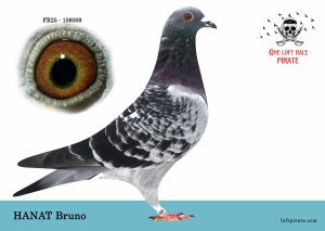 N° 18 : FR-2025-106009 M – HANAT Bruno