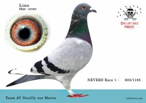 N° 19 : FR-2025-107307 F – Team AV Neuilly sur Marne