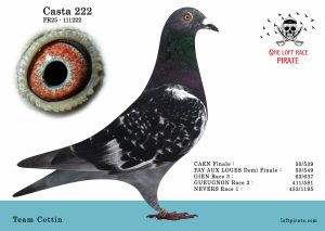N° 22 : FR-2025-111222 F – Team Cottin