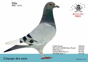 N° 64 : FR25-111511   – L’ Equipe des Amis