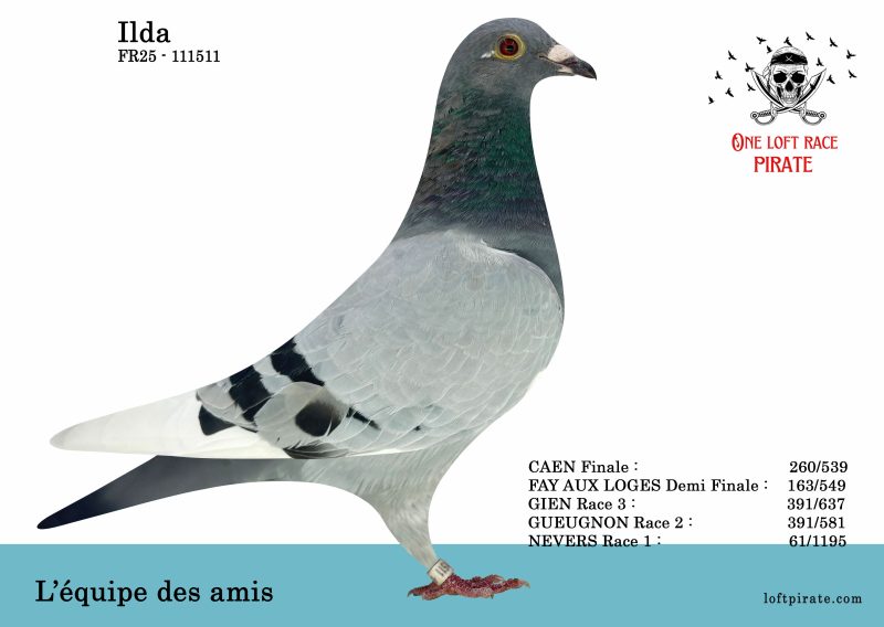 N° 64 : FR25-111511   – L’ Equipe des Amis