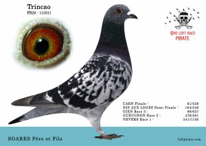 N° 26 : FR-2025-113311 F – SOARES Père et Fils