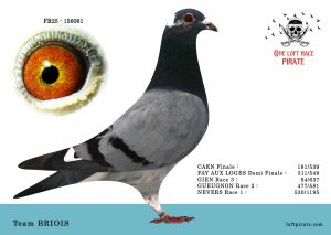 N° 27 : FR-2025-156061 M – Team BRIOIS