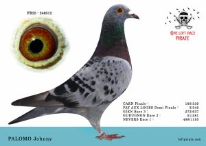 N° 29 : FR-2025-246012 F – PALOMO Johnny