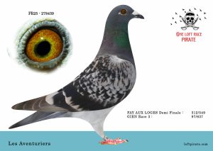 N° 32 : FR-2025-278439 F – Les Aventuriers