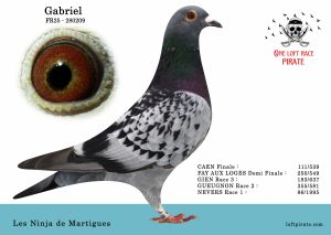N° 34 : FR-2025-280209 F – Les Ninja de Martigues
