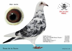 N° 35 : FR-2025-284705 F – Team de la Yaute