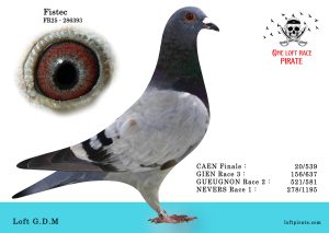N° 37 : FR-2025-286393 F – Loft G.D.M