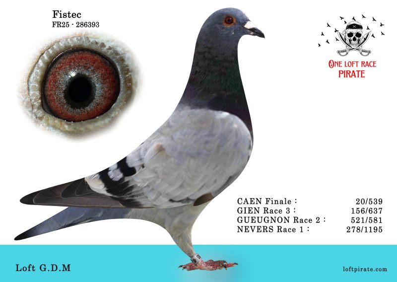 N° 37 : FR-2025-286393 F – Loft G.D.M