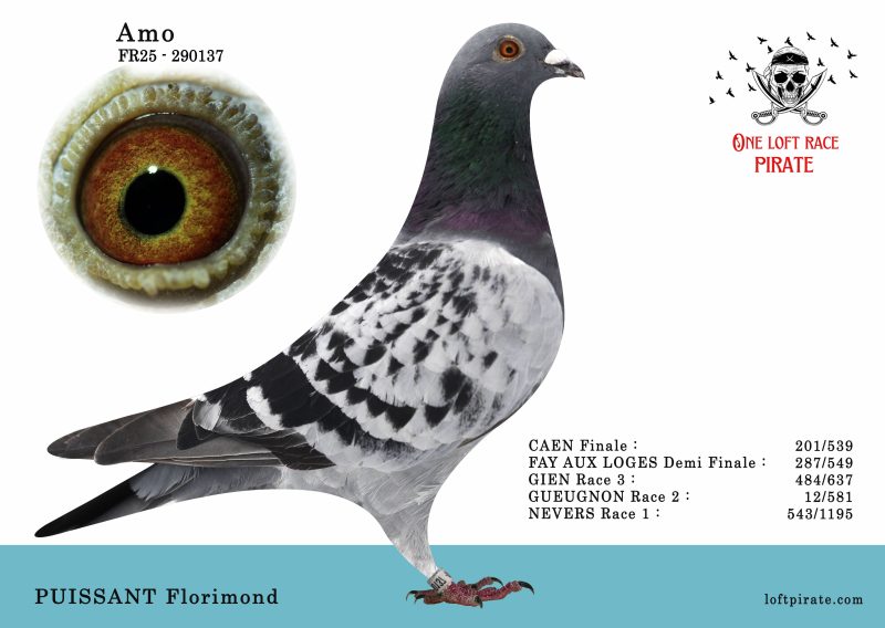 N° 38 : FR-2025-290137 M – PUISSANT Florimond