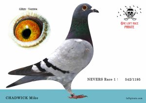 N° 62 : GB25-V45304 F  – CHADWICK Mike