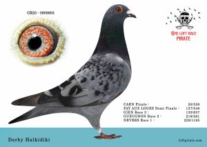 N° 42 : GR-2025-808803 F  – Derby Halkidiki
