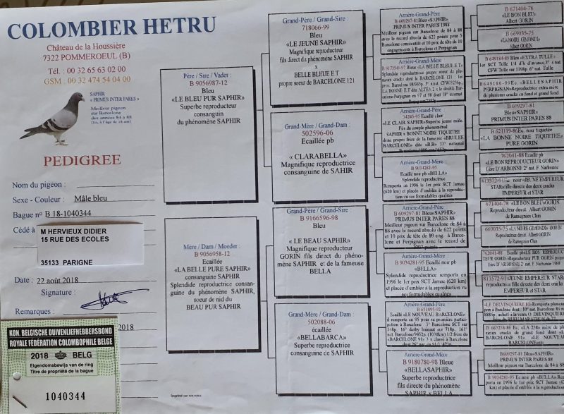 Hervieux père du jeune (1)