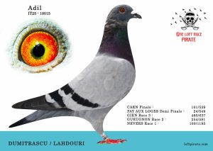 N° 05 : IT-2025-18015 F –  DUMITRASCU / LAHDOURI