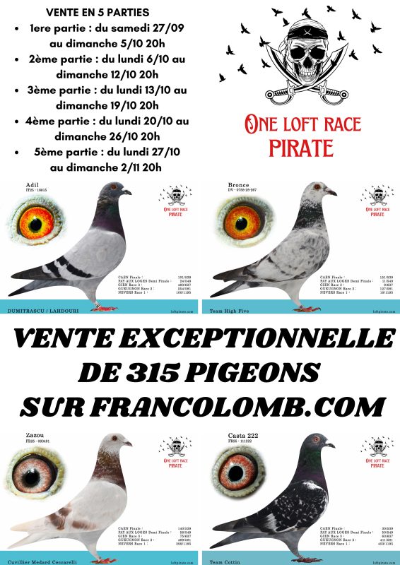 Vente LOFT PIRATE