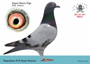 N° 53 : PT-2025-5279413 M  – Esquadro F16 Super Sonicos
