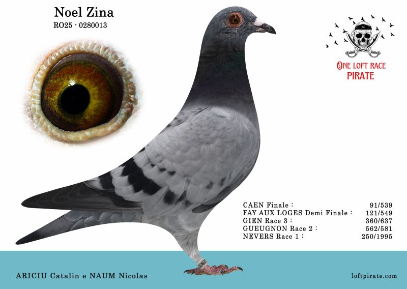 N° 33 : FR-2025-280013 F – NAUM Nicolas