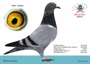 N° 43 : RO-2025-864801 F  – Stoica Ionut