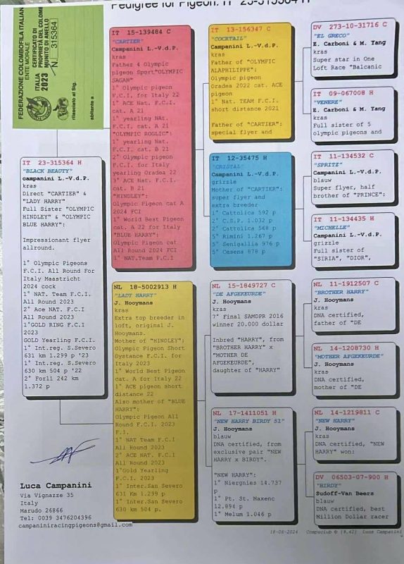 1023734 pedigree mere