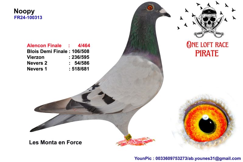 111890 mère