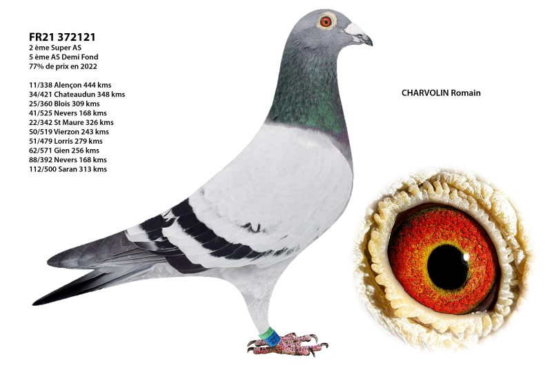 112232 oncle paternel