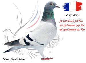 N° 53 : FR25-112303